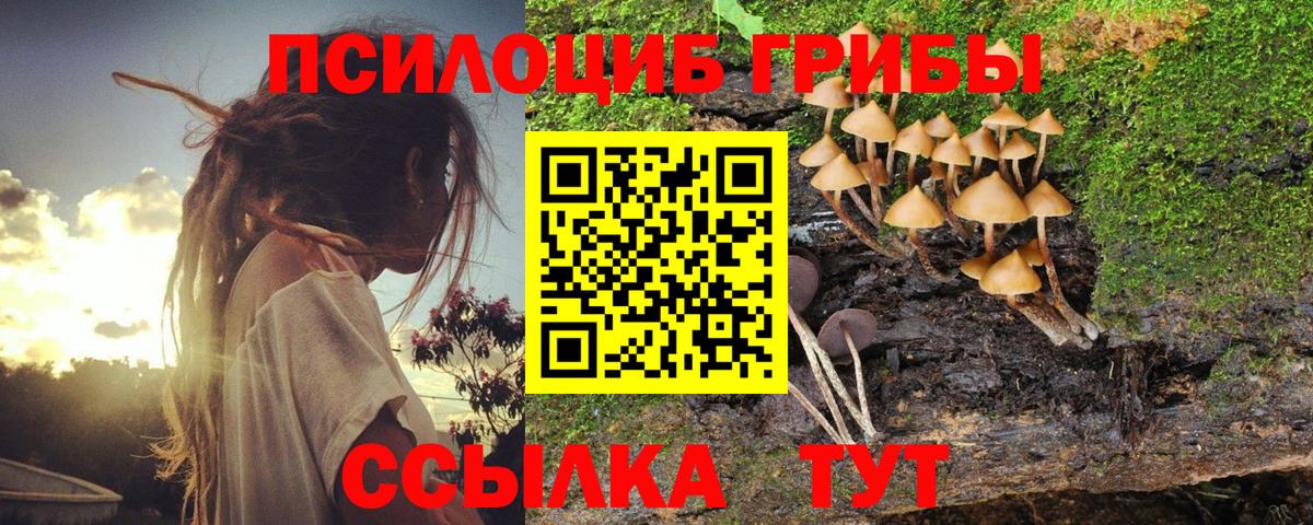 Галлюциногенные грибы прущие грибы  Псилоцибиновые грибы Magic Shrooms  Вход с VPN  Гусиноозёрск 