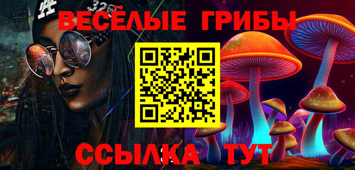 Псилоцибиновые грибы MAGIC MUSHROOMS Гусиноозёрск